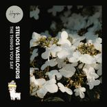 Artwork for "The Things You Say"