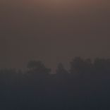 Artwork for "Astral Moonlight"