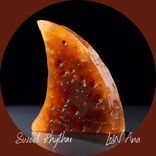 Portada para "Sweet Rhythm"