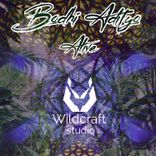 Artwork voor "Alive"