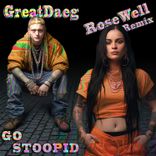 Artwork voor "Go Stoopid"