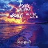 Portada para "Impossible"