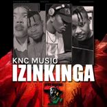 Artwork for "Izinkinga"