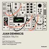 Portada para "Hidden Truth"