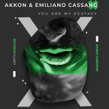 Artwork for "You Are My Ecstasy"