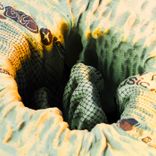 Portada para "Fake Rappers"