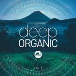 Artwork voor "Deep Organic, Vol. 2"