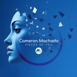 Portada para "Pieces of You"