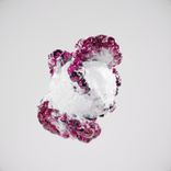 Artwork für "In My Veins"