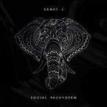 Artwork for "Social Pachyderm"