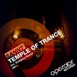 Artwork für "Temple Of Trance"