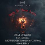 Artwork for "Key to Your Love"