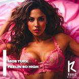 Artwork voor "Feelin So High"