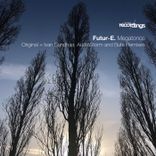 Artwork voor "Megatonos"