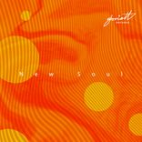 Artwork voor "New Soul"