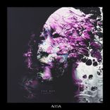 Artwork for "The Bay"