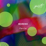 Artwork für "Furia"