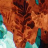 Artwork voor "Sour Grapes"