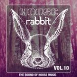 Artwork voor "House Rabbit Vol. 10"