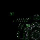 Portada para "Acid Feeling"