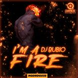 Artwork voor "I'm A Fire"