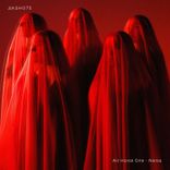 Artwork voor "Narsa"