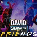 Artwork voor "True Friends"