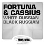Artwork voor "White Russian / Black Russian"