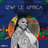 Artwork voor "Izwi Le Africa"
