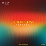 Artwork for "Our Destiny"