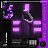 Artwork for "Wildfire"