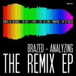 Portada para "Analyzing"