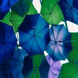 Artwork for "Campinas"