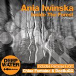 Artwork for "Inside The Forest"