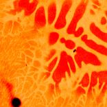 Artwork voor "Universe Of Pops"