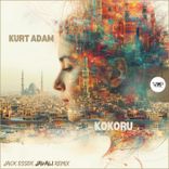 Artwork for "Kokoru"