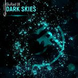Artwork voor "Dark Skies"