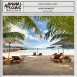 Artwork for "Now or Never"