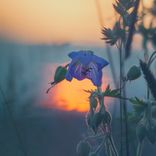 Artwork for "Day Is Over"