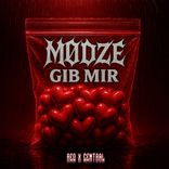 Artwork for "Gib mir"