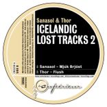 Portada para "Icelandic Lost Tracks 2"