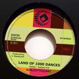 Artwork for "Land of 1000 Dances"