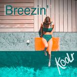 Artwork for "Breezin'"