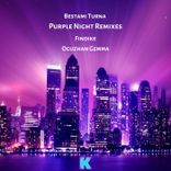 Artwork for "Purple Night Remixes"