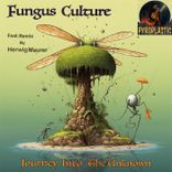 Journey Into the Unknown