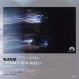 Artwork for "Shaman Disco"