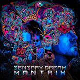 Artwork voor "Sensory Dream"