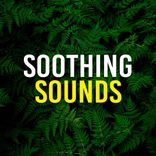 Portada para "Soothing Sounds"
