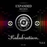 Artwork voor "Kalubration, Vol. 4"