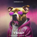 Artwork for "Tr4P"